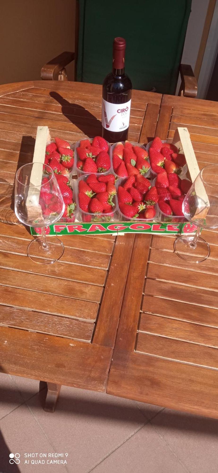 Apartment Difesa Pizzo Zewnętrze zdjęcie